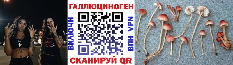 купить наркотики сайты  Струнино  Псилоцибиновые грибы прущие грибы 